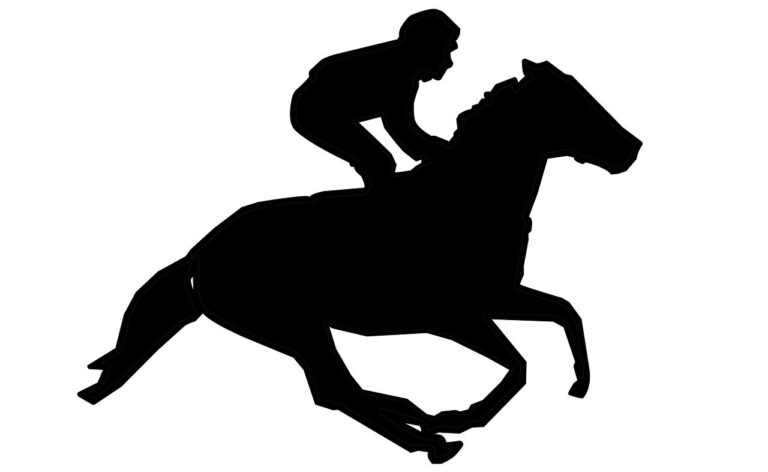 Experience the Thrill of Horse Racing Betting with Play99exch